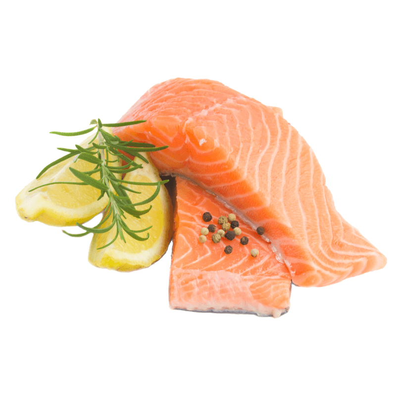 salmon